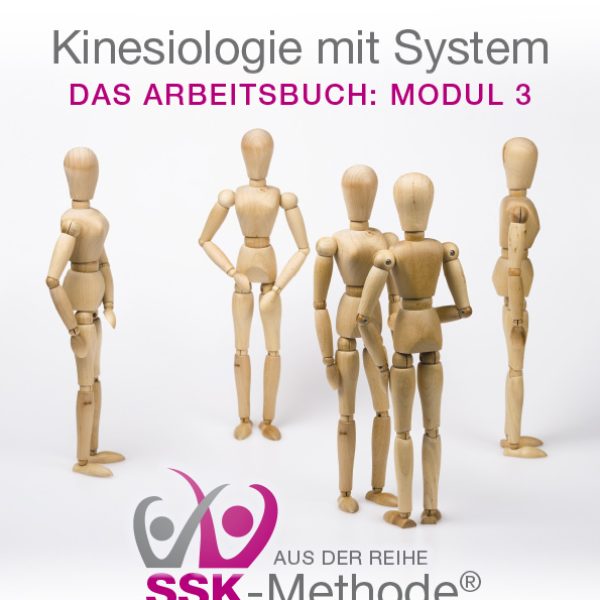 DieLernchance_SSK-Cover-Modul_03